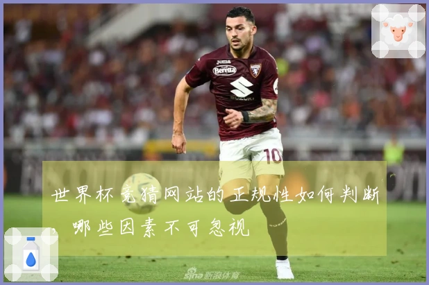 世界杯竞猜网站的正规性如何判断，哪些因素不可忽视