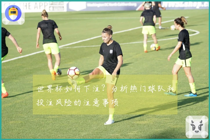 世界杯如何下注？分析热门球队和投注风险的注意事项