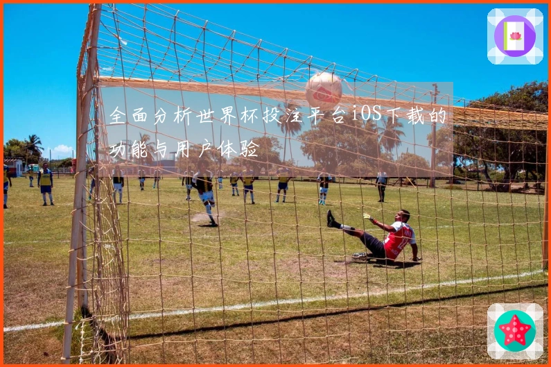 全面分析世界杯投注平台iOS下载的功能与用户体验