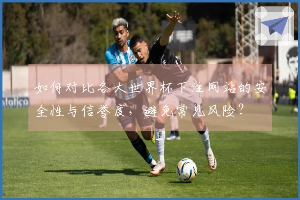 如何对比各大世界杯下注网站的安全性与信誉度，避免常见风险？