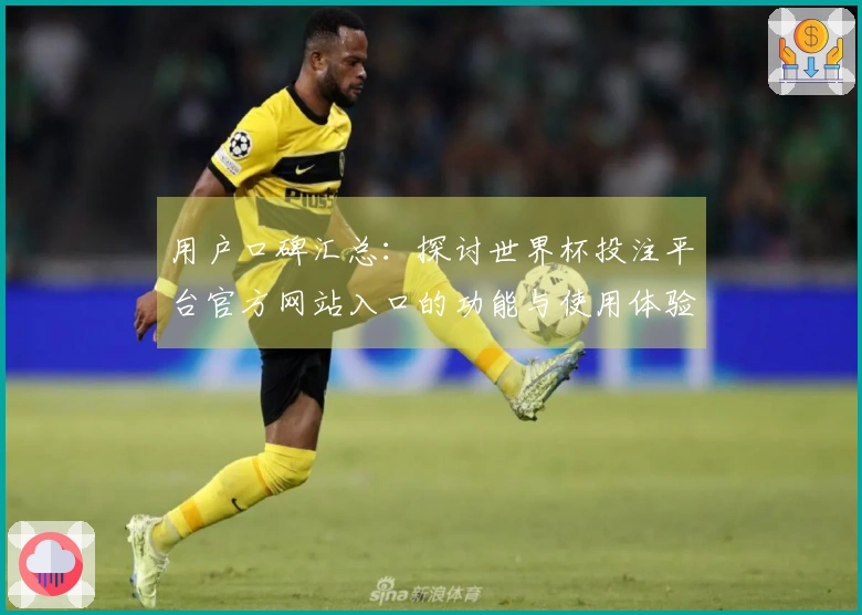 用户口碑汇总：探讨世界杯投注平台官方网站入口的功能与使用体验