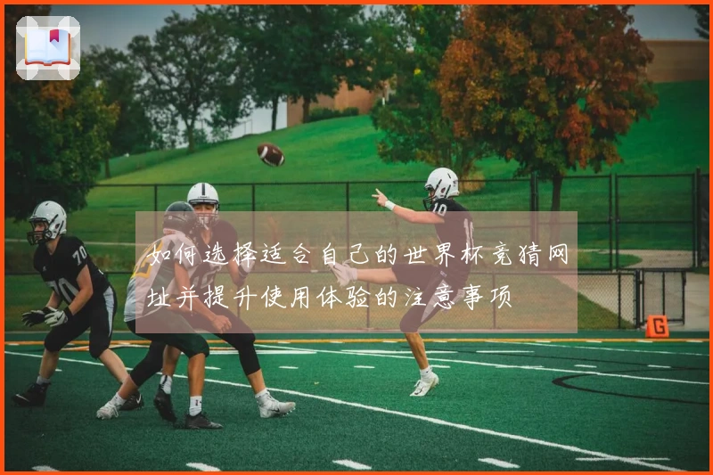 如何选择适合自己的世界杯竞猜网址并提升使用体验的注意事项