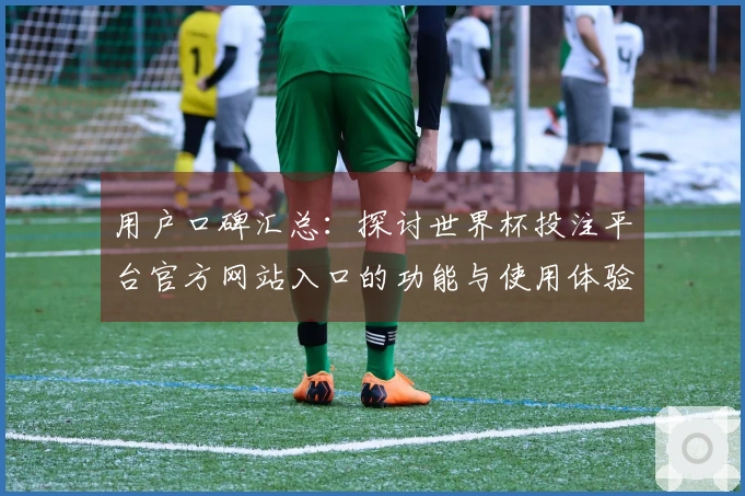 用户口碑汇总：探讨世界杯投注平台官方网站入口的功能与使用体验