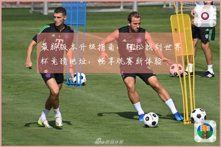 最新版本升级指南，轻松找到世界杯竞猜地址，畅享观赛新体验