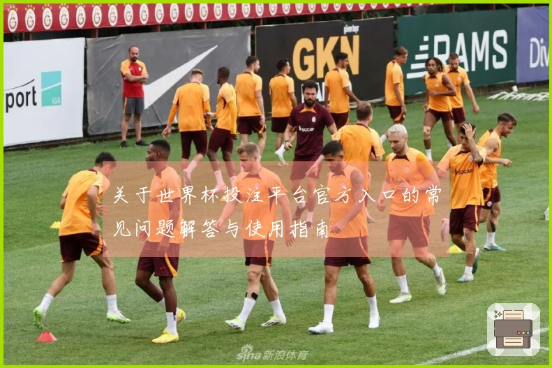 关于世界杯投注平台官方入口的常见问题解答与使用指南