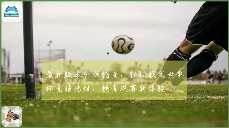 最新版本升级指南，轻松找到世界杯竞猜地址，畅享观赛新体验