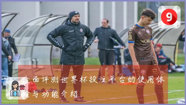全面评测世界杯投注平台的使用体验与功能介绍