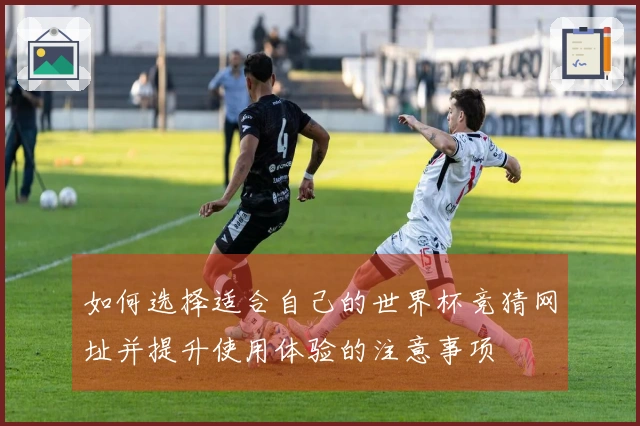 如何选择适合自己的世界杯竞猜网址并提升使用体验的注意事项